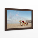 Camello en Wadi Rum, Jordania - Emmanuel Ramírez | Cuadro decorativo de Canvas Lab