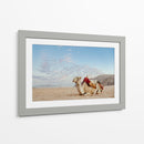 Camello en Wadi Rum, Jordania - Emmanuel Ramírez | Cuadro decorativo de Canvas Lab