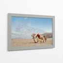 Camello en Wadi Rum, Jordania - Emmanuel Ramírez | Cuadro decorativo de Canvas Lab