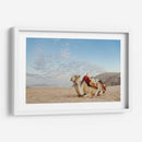 Camello en Wadi Rum, Jordania - Emmanuel Ramírez | Cuadro decorativo de Canvas Lab