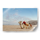 Camello en Wadi Rum, Jordania - Emmanuel Ramírez | Cuadro decorativo de Canvas Lab