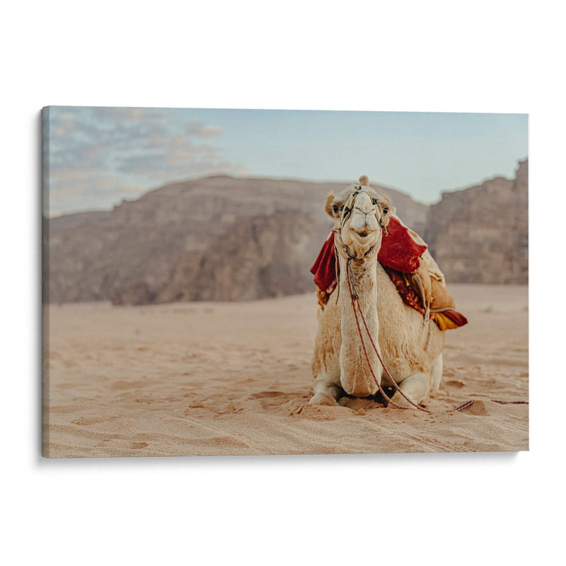 Camello en Wadi Rum, Jordania II - Emmanuel Ramírez | Cuadro decorativo de Canvas Lab