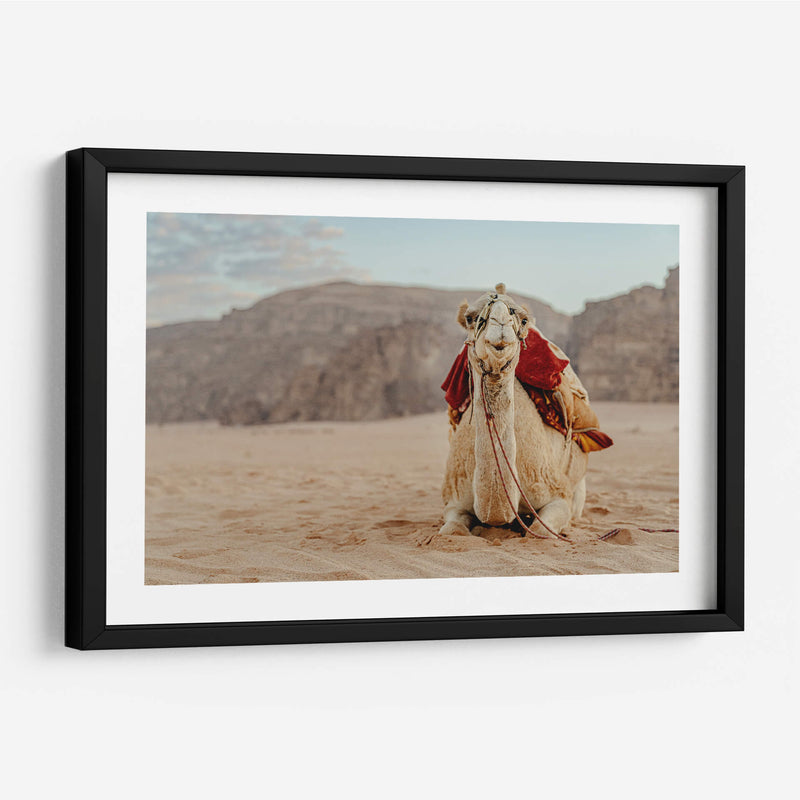 Camello en Wadi Rum, Jordania II - Emmanuel Ramírez | Cuadro decorativo de Canvas Lab