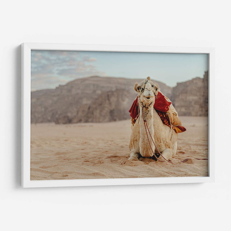 Camello en Wadi Rum, Jordania II - Emmanuel Ramírez | Cuadro decorativo de Canvas Lab