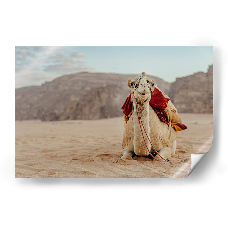 Camello en Wadi Rum, Jordania II - Emmanuel Ramírez | Cuadro decorativo de Canvas Lab