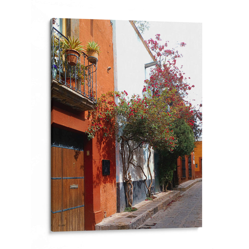 Bugambilias 2 - Aimee Wilde | Cuadro decorativo de Canvas Lab