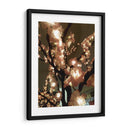 Fleur de lumiere - Aimee Wilde | Cuadro decorativo de Canvas Lab