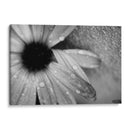 Amanecer - Mauricio Silerio | Cuadro decorativo de Canvas Lab