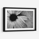 Amanecer - Mauricio Silerio | Cuadro decorativo de Canvas Lab