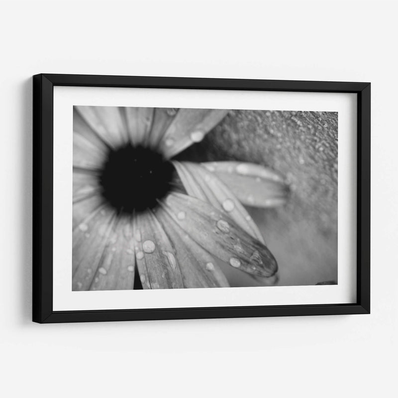 Amanecer - Mauricio Silerio | Cuadro decorativo de Canvas Lab