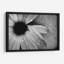 Amanecer - Mauricio Silerio | Cuadro decorativo de Canvas Lab