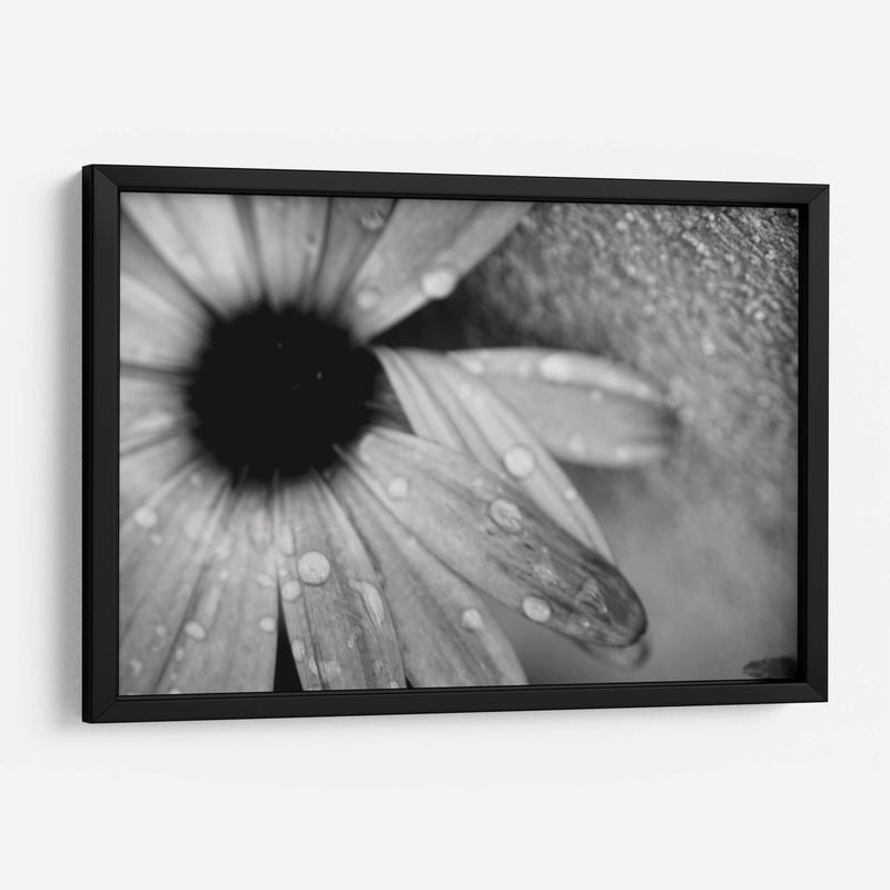 Amanecer - Mauricio Silerio | Cuadro decorativo de Canvas Lab