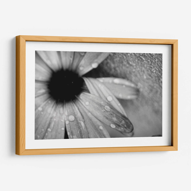 Amanecer - Mauricio Silerio | Cuadro decorativo de Canvas Lab