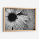 Amanecer - Mauricio Silerio | Cuadro decorativo de Canvas Lab