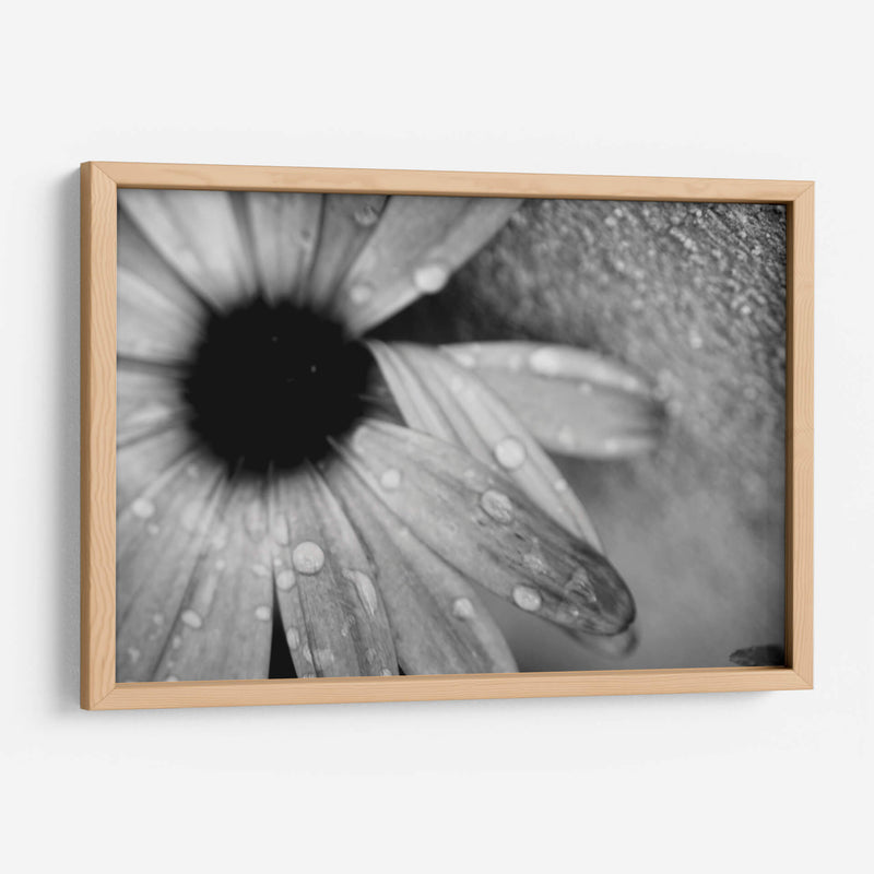 Amanecer - Mauricio Silerio | Cuadro decorativo de Canvas Lab