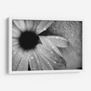 Amanecer - Mauricio Silerio | Cuadro decorativo de Canvas Lab