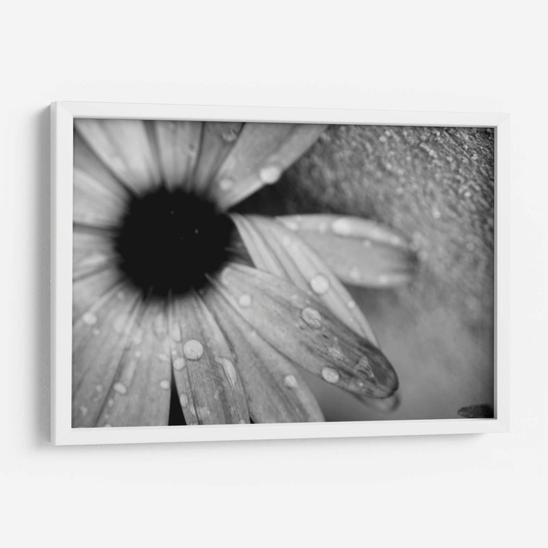 Amanecer - Mauricio Silerio | Cuadro decorativo de Canvas Lab