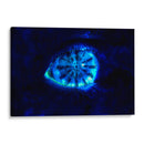 Blue pearl - Mauricio Silerio | Cuadro decorativo de Canvas Lab