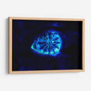 Blue pearl - Mauricio Silerio | Cuadro decorativo de Canvas Lab