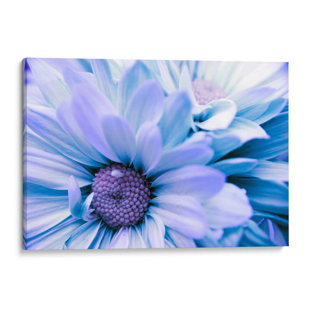 Blue sky - Mauricio Silerio | Cuadro decorativo de Canvas Lab