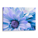 Blue sky - Mauricio Silerio | Cuadro decorativo de Canvas Lab