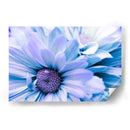 Blue sky - Mauricio Silerio | Cuadro decorativo de Canvas Lab