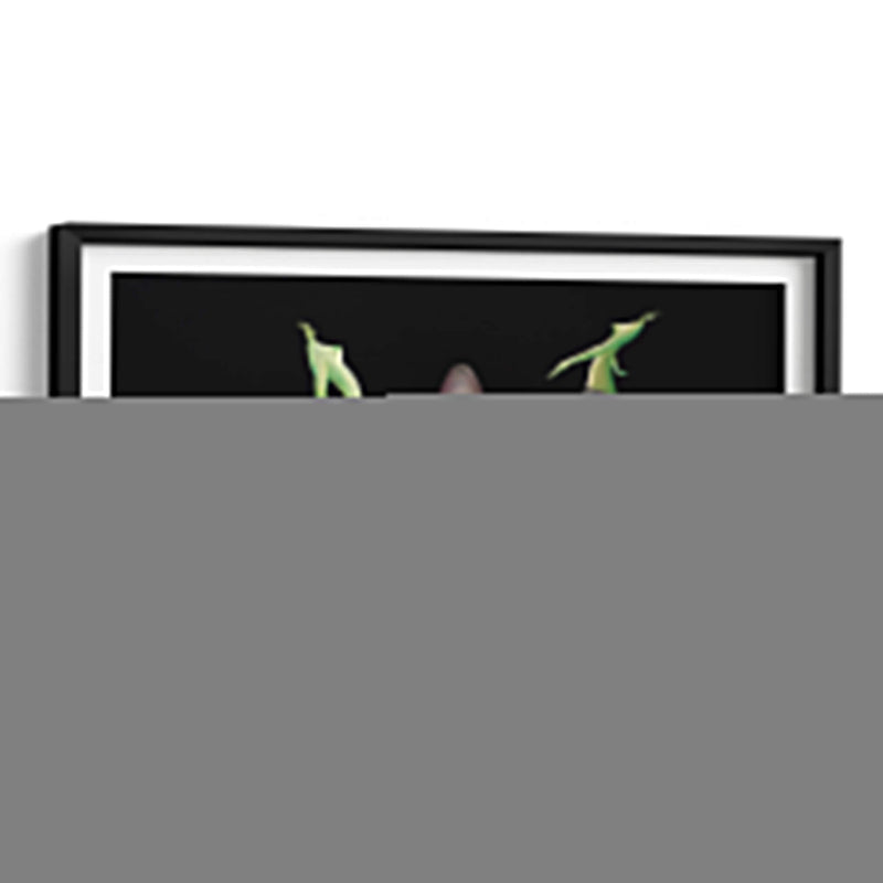 Creation - Mauricio Silerio | Cuadro decorativo de Canvas Lab