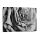 Intimidad - Mauricio Silerio | Cuadro decorativo de Canvas Lab