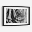 Intimidad - Mauricio Silerio | Cuadro decorativo de Canvas Lab