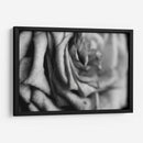 Intimidad - Mauricio Silerio | Cuadro decorativo de Canvas Lab