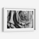 Intimidad - Mauricio Silerio | Cuadro decorativo de Canvas Lab