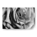 Intimidad - Mauricio Silerio | Cuadro decorativo de Canvas Lab