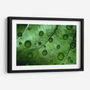 Jade - Mauricio Silerio | Cuadro decorativo de Canvas Lab