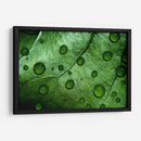 Jade - Mauricio Silerio | Cuadro decorativo de Canvas Lab