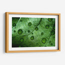 Jade - Mauricio Silerio | Cuadro decorativo de Canvas Lab