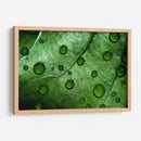 Jade - Mauricio Silerio | Cuadro decorativo de Canvas Lab