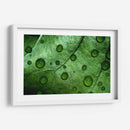 Jade - Mauricio Silerio | Cuadro decorativo de Canvas Lab