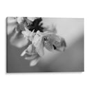 Renacer - Mauricio Silerio | Cuadro decorativo de Canvas Lab