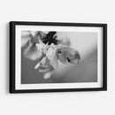 Renacer - Mauricio Silerio | Cuadro decorativo de Canvas Lab