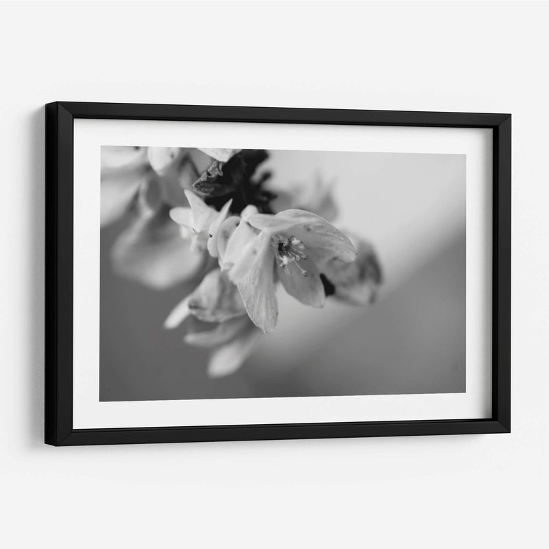 Renacer - Mauricio Silerio | Cuadro decorativo de Canvas Lab