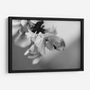 Renacer - Mauricio Silerio | Cuadro decorativo de Canvas Lab