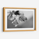 Renacer - Mauricio Silerio | Cuadro decorativo de Canvas Lab