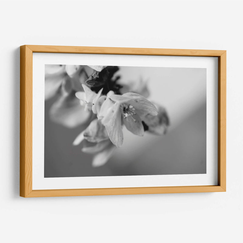 Renacer - Mauricio Silerio | Cuadro decorativo de Canvas Lab