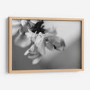 Renacer - Mauricio Silerio | Cuadro decorativo de Canvas Lab