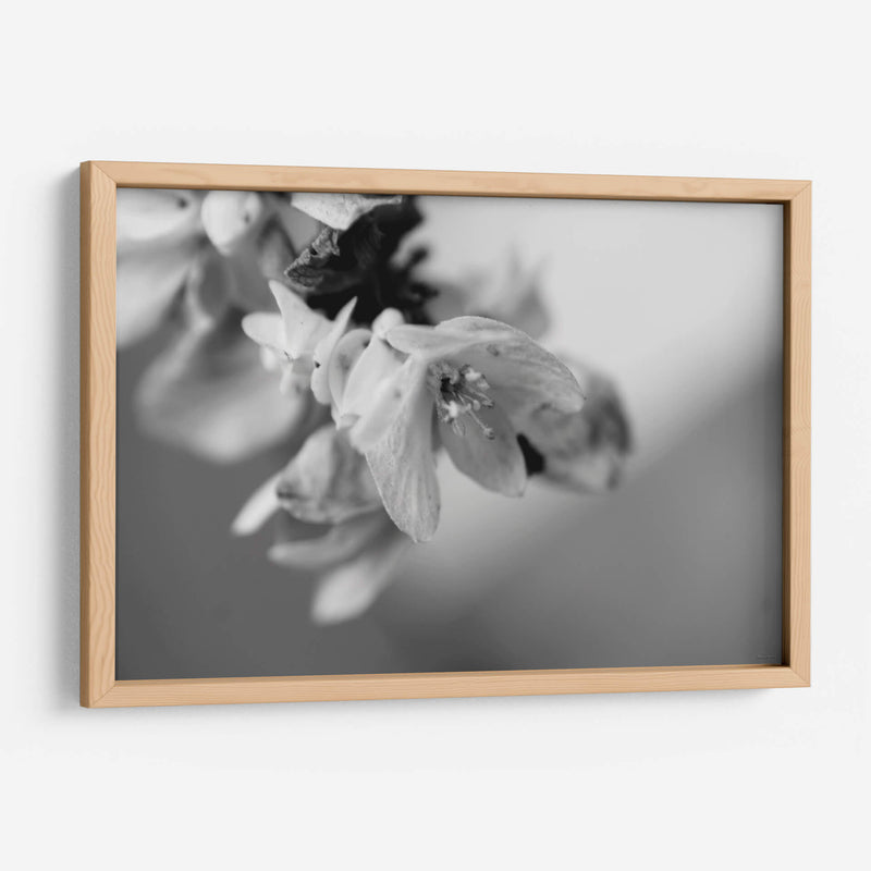 Renacer - Mauricio Silerio | Cuadro decorativo de Canvas Lab