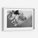 Renacer - Mauricio Silerio | Cuadro decorativo de Canvas Lab