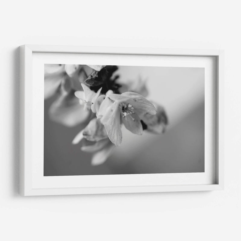 Renacer - Mauricio Silerio | Cuadro decorativo de Canvas Lab