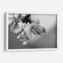 Renacer - Mauricio Silerio | Cuadro decorativo de Canvas Lab