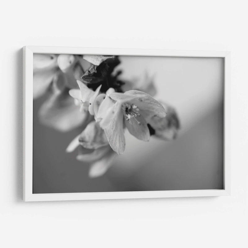 Renacer - Mauricio Silerio | Cuadro decorativo de Canvas Lab