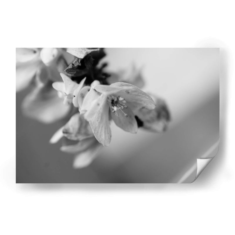 Renacer - Mauricio Silerio | Cuadro decorativo de Canvas Lab